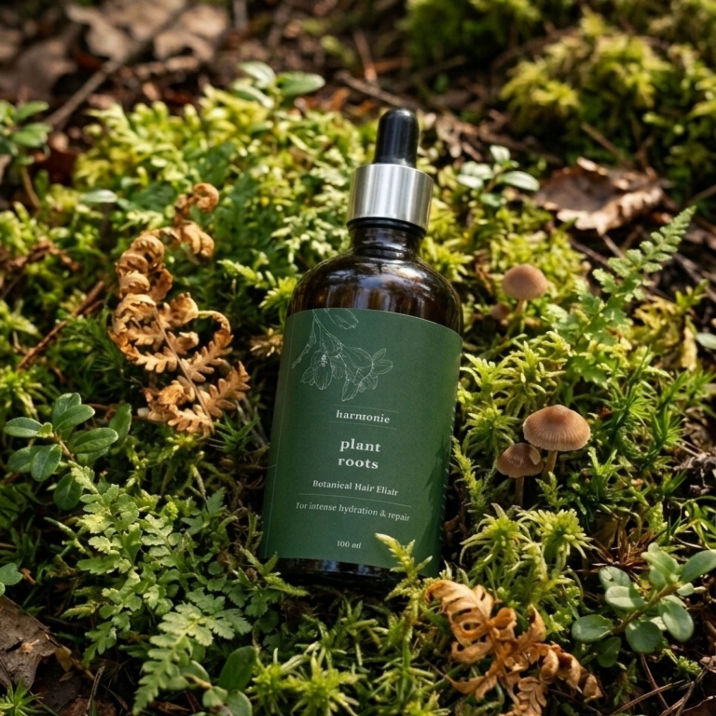 Plant Roots - Scalp Oil
